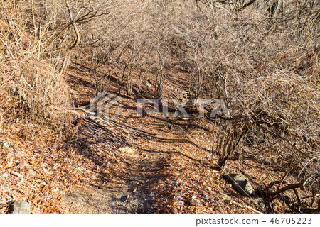 Nakanokura Pass Trail (Minobu Town, Minamikoma District, Yamanashi Prefecture) *Photo taken in December 2016 Nakanokura Pass Trail (Minobu Town, Minamikoma District, Yamanashi Prefecture) *Photo taken in December 2016 46705223
