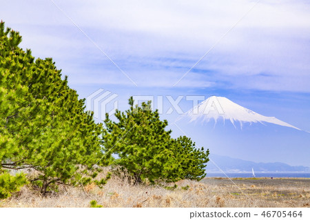 靜岡縣靜岡市清水區美穗海灘富士山和美穗未松原 靜岡縣靜岡市清水區美穗海灘富士山和美穗未松原 46705464