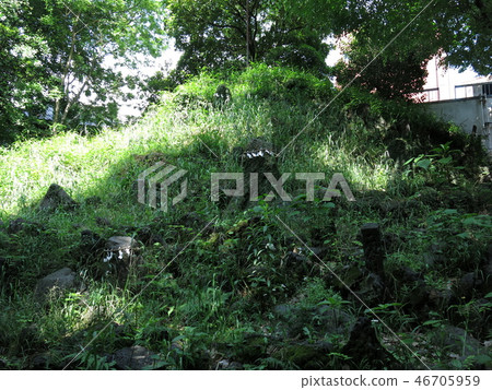 Shimodani Sakamoto的Fujimuka在台東區的小野Terrasaki神社 46705959