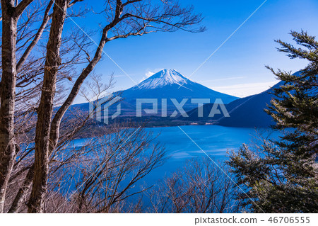 (Yamanashi Prefecture) Mt. Fuji seen from Nakanokura Point of the Lake Honjo 46706555