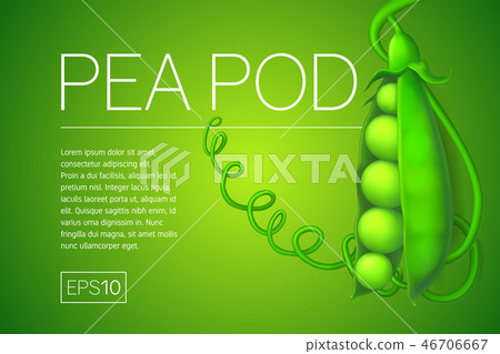 Pea pod. Vegetable 3d vector icon Pea pod. Vegetable 3d vector icon 46706667