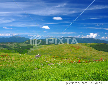 Early summer grassland (Kirigamine) Early summer grassland (Kirigamine) 46707430