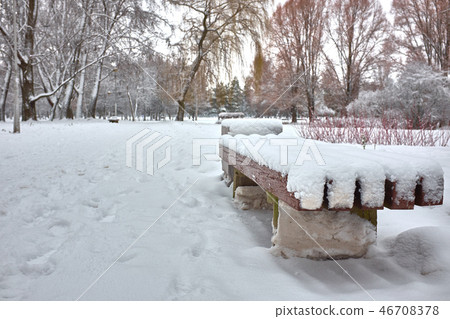 Snow-covered trees and wooden benche in the city park. Snow-covered trees and wooden benche in the city park. 46708378