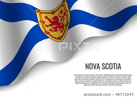 waving flag with copyspace waving flag with copyspace 46711645