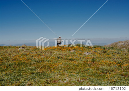 hikers with backpacks and trekking poles hikers with backpacks and trekking poles 46712102