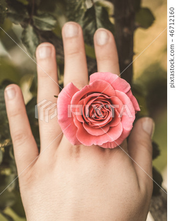 Beautiful colorful Rose Flower in hand Beautiful colorful Rose Flower in hand 46712160