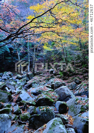 紅眼前進瀑布 紅眼前進瀑布 46712637