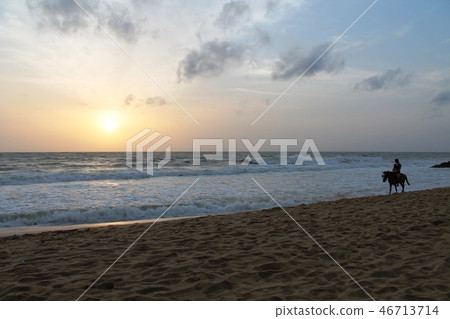 Sri lanka nibongo coast horseback riding 46713714