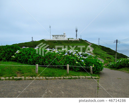 從Tohoku,青森,Ryutoisaki和觀察廣場,我看著漂浮在繡球花的燈塔(1) 從Tohoku,青森,Ryutoisaki和觀察廣場,我看著漂浮在繡球花的燈塔(1) 46714286