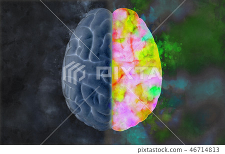 Brain illustration with left and right concept Brain illustration with left and right concept 46714813