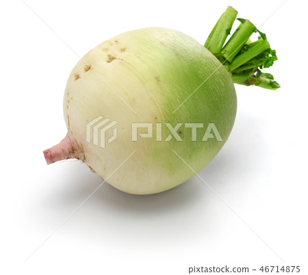 Red Core Daikon Red Core Daikon 46714875