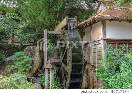 Water mill in the forest 46717384
