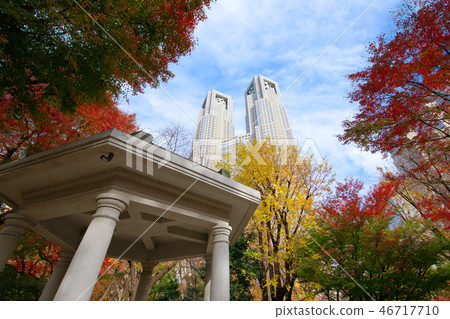 Shinjuku Chuo Park with autumn leaves and Tokyo Metropolitan Government Fujimidai 46717710
