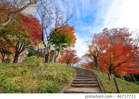 Shinjuku Chuo Park with autumn leaves and Tokyo Metropolitan Government Fujimidai 46717713