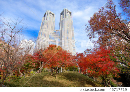Shinjuku Chuo Park with autumn leaves and Tokyo Metropolitan Government Fujimidai 46717719