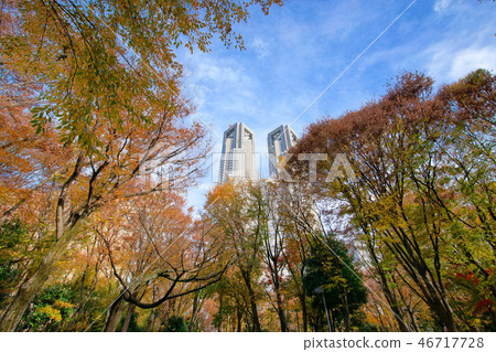 Shinjuku Chuo Park and Tokyo Metropolitan Government Office of autumn leaves 46717728