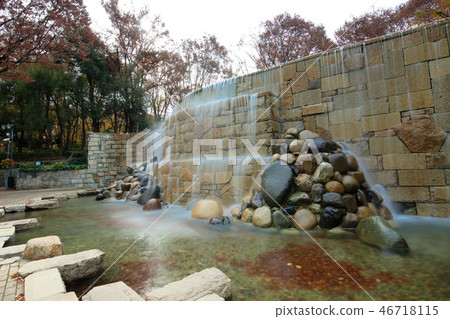 Shinjuku Chuo Park and Shinjuku Niagara Falls flower bed flower garden Shinjuku Chuo Park and Shinjuku Niagara Falls flower bed flower garden 46718115