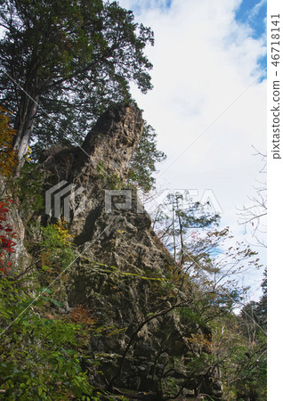 Otakeyama Tenguiwa的彩色葉子 46718141