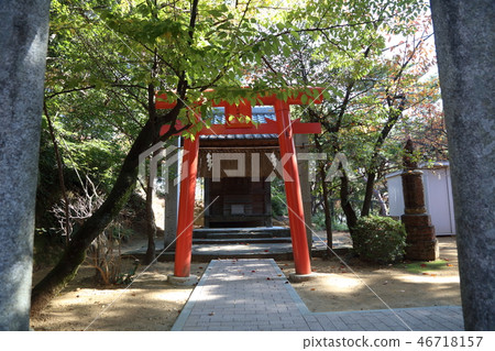 Autumn leaves Hachimangu Shrine 46718157