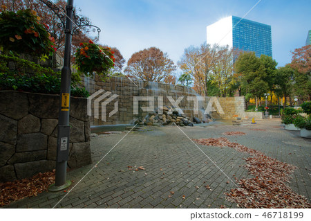 Shinjuku Chuo Park and Shinjuku Niagara Falls flower bed flower garden 46718199