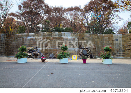 Shinjuku Chuo Park and Shinjuku Niagara Falls flower bed flower garden 46718204