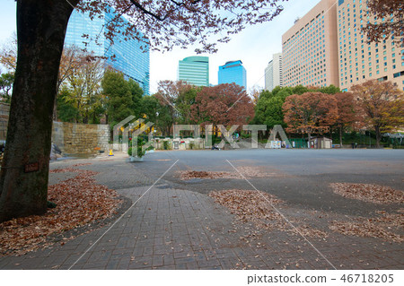 Shinjuku Chuo Park and Shinjuku Niagara Falls flower bed flower garden 46718205