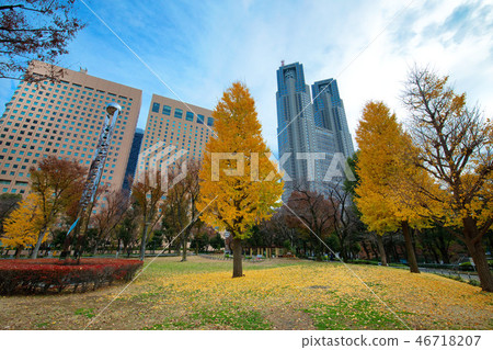 有秋葉的新宿中央公園和東京都政府銀杏 46718207