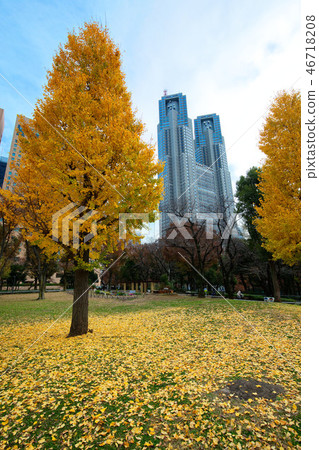 有秋葉的新宿中央公園和東京都政府銀杏 有秋葉的新宿中央公園和東京都政府銀杏 46718208