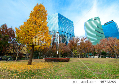 新宿中央公園銀杏樹與彩色的葉子 46718209