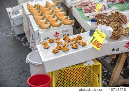 [Hakodate Morning Market] 46718758