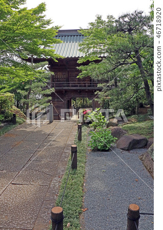 Fukiage Kannon Fukiage Kannon 46718920