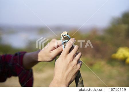 露營，年輕人，韓國人 46719539