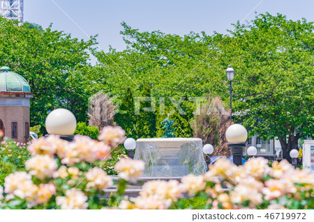 Rose garden of spring Yokosuka Verny Park of Japan 46719972