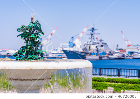 日本的春天Yokosuka Verny公園玫瑰園 46720003