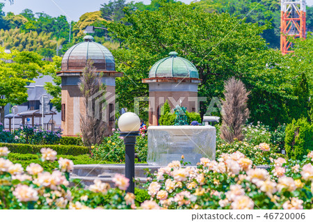 Rose garden of spring Yokosuka Verny Park of Japan 46720006