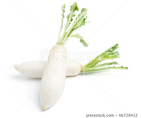 daikon radishes isolated on white 46720432