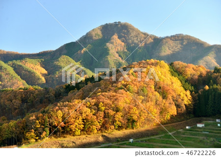 秋天的冠冕 46722226