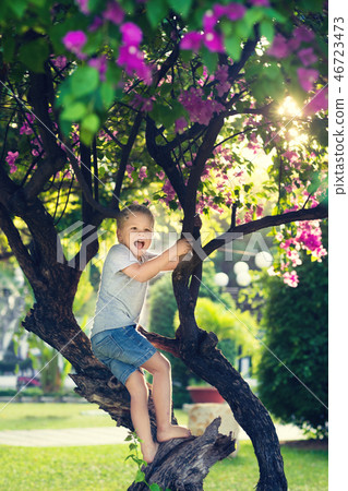 Funny boy on the tree 46723473