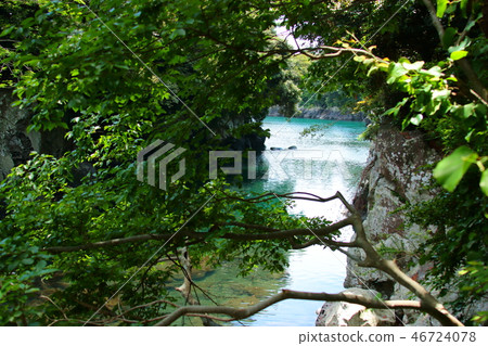 雪松，海，山谷， 46724078