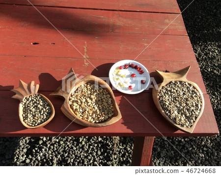 Coffee seeds 46724668