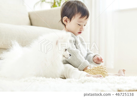嬰兒，嬰兒，嬰兒，兒童，博美犬，小狗，寵物，伴侶動物，狗伴侶，房子 46725138