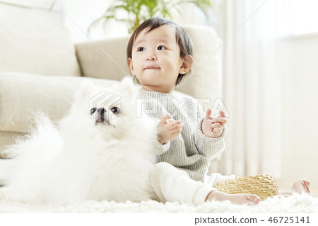 嬰兒，嬰兒，嬰兒，兒童，博美犬，小狗，寵物，伴侶動物，狗伴侶，房子 46725141