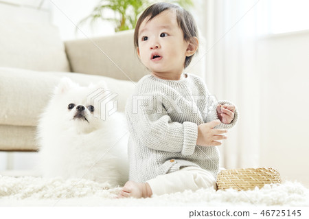 嬰兒，嬰兒，嬰兒，兒童，博美犬，小狗，寵物，伴侶動物，狗伴侶，房子 46725145