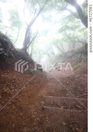 Mountain climbing Ohyama Mountain climbing Ohyama 46727061