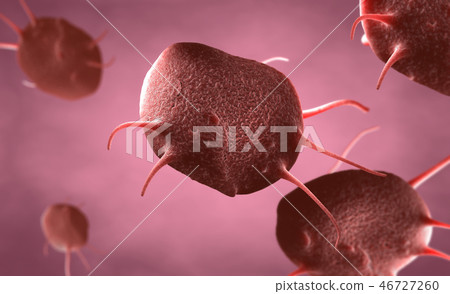 activated platelets, also called thrombocytes  46727260