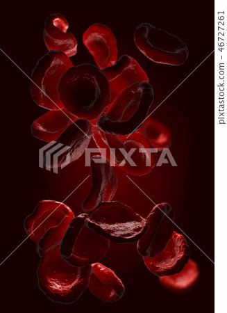 Observed red blood cells,called erythrocytes 46727261