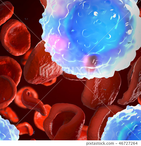 Observed white blood cells,called leukocytes 46727264