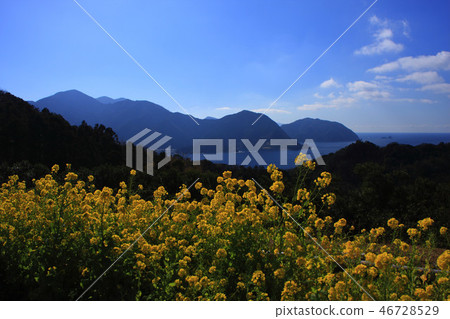 情人角 情人角 46728529