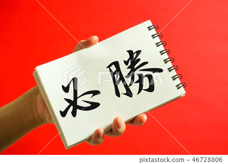某些勝利 46728806