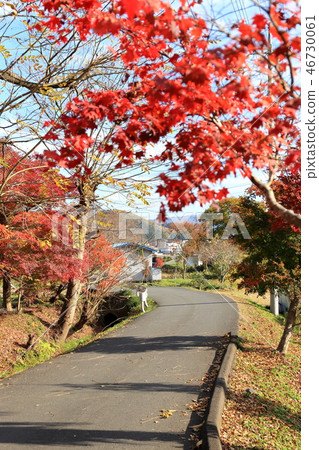 Momiji寺Eigenji寺接近葉子 46730061